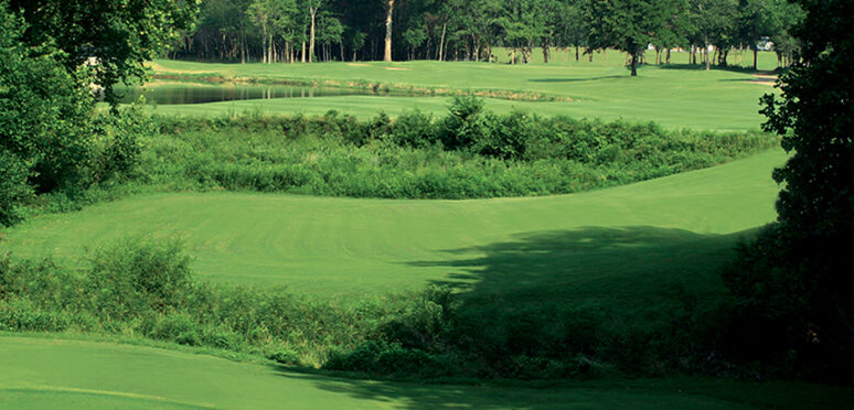 Forest Ridge Golf Course - Planning Design Group
